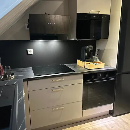 Magnifique Logement Proche De Colmar Parking Wifi Wintzenheim Exterior photo