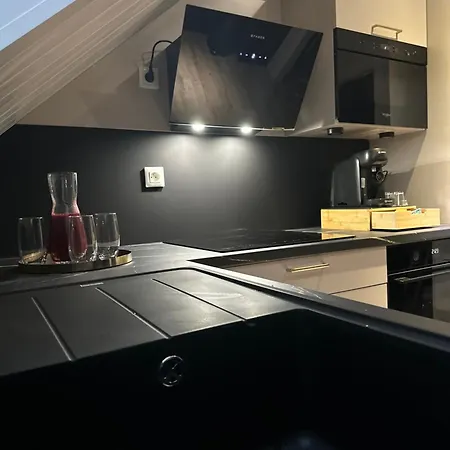 Magnifique Logement Proche De Colmar Parking Wifi Wintzenheim Exterior photo