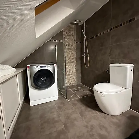 Magnifique Logement Proche De Colmar Parking Wifi Wintzenheim Exterior photo